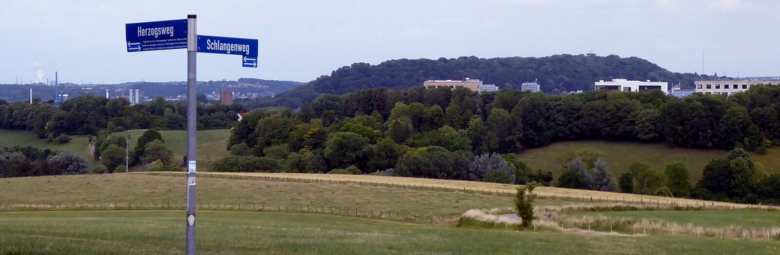 Bildbeschreibung und Urheberrecht