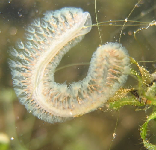 Bildbeschreibung und Urheberrecht