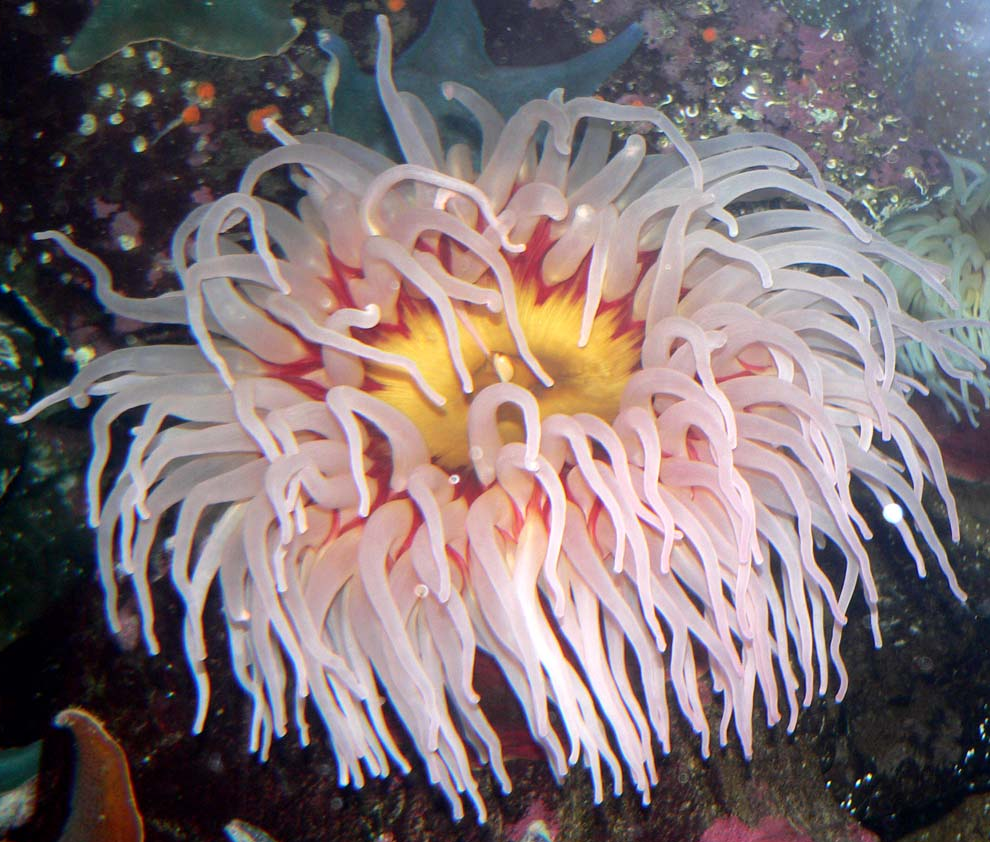 Bildbeschreibung und Urheberrecht