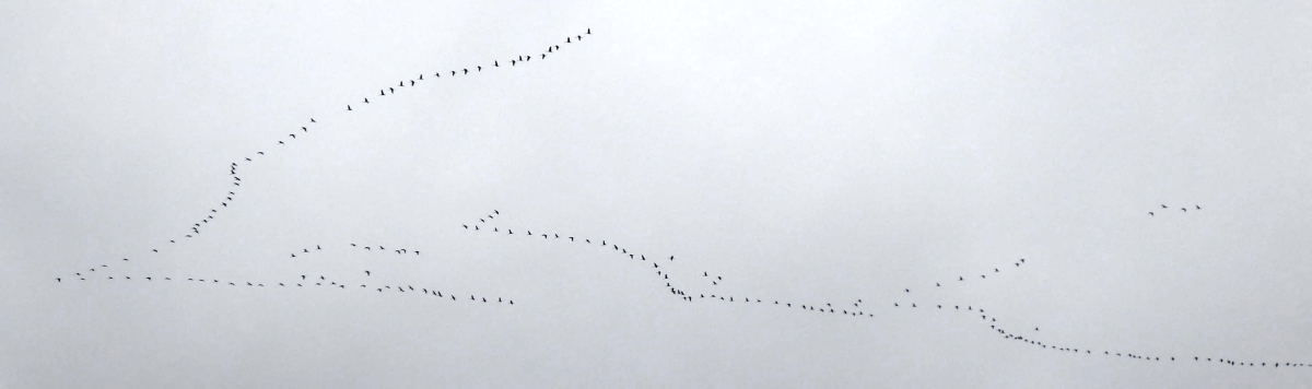 Bildbeschreibung und Urheberrecht